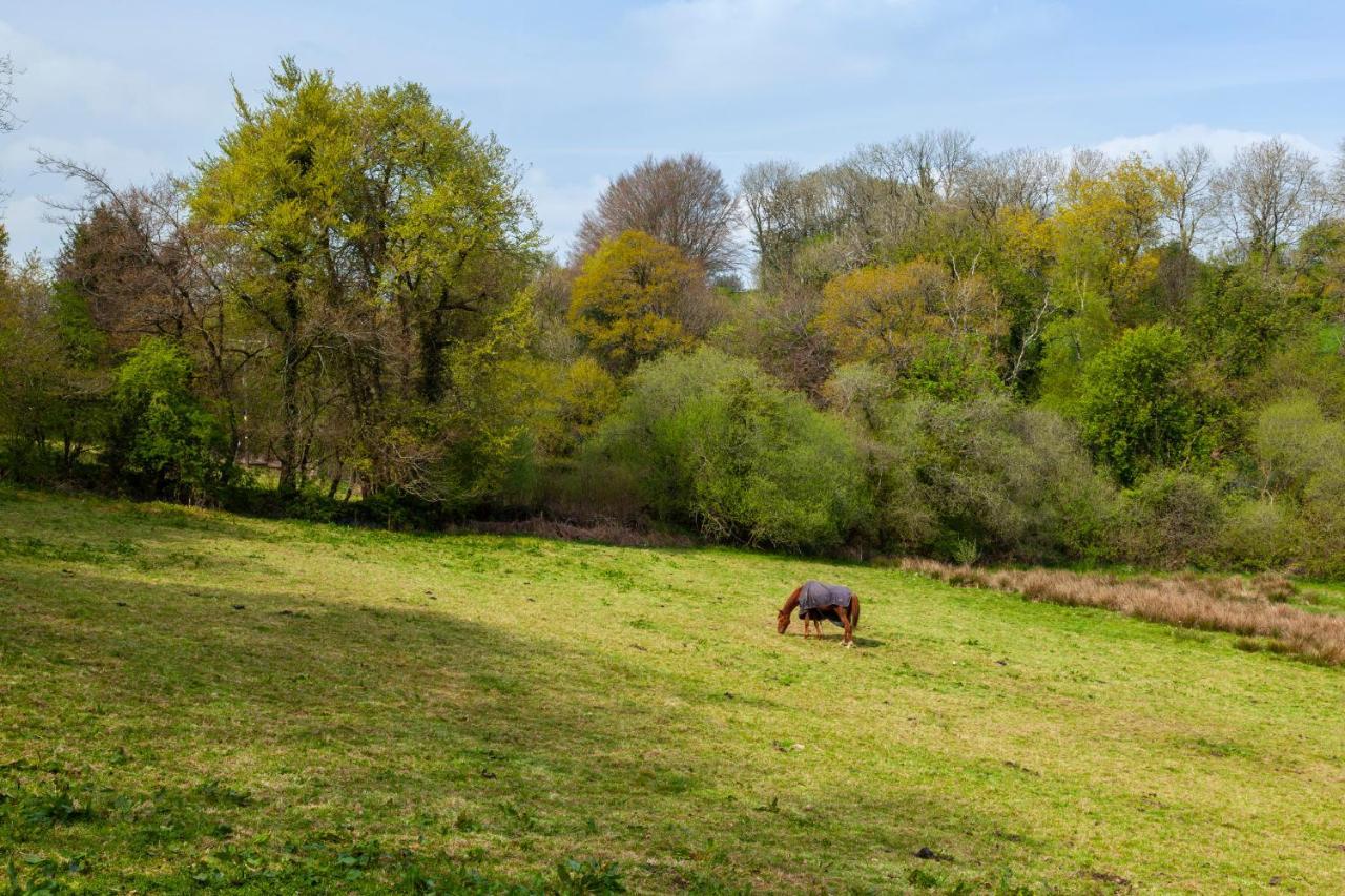 Southcott Farm Cottage ホニートン エクステリア 写真