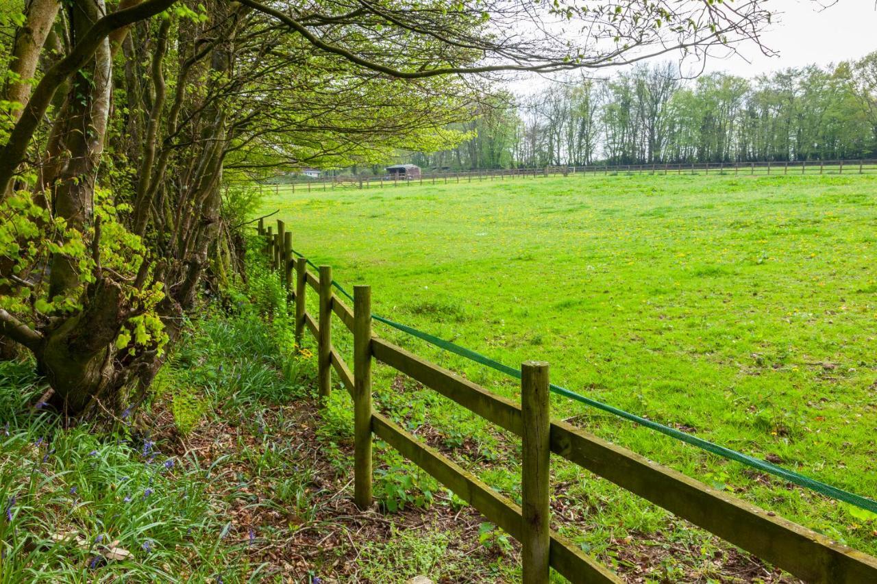 Southcott Farm Cottage ホニートン エクステリア 写真