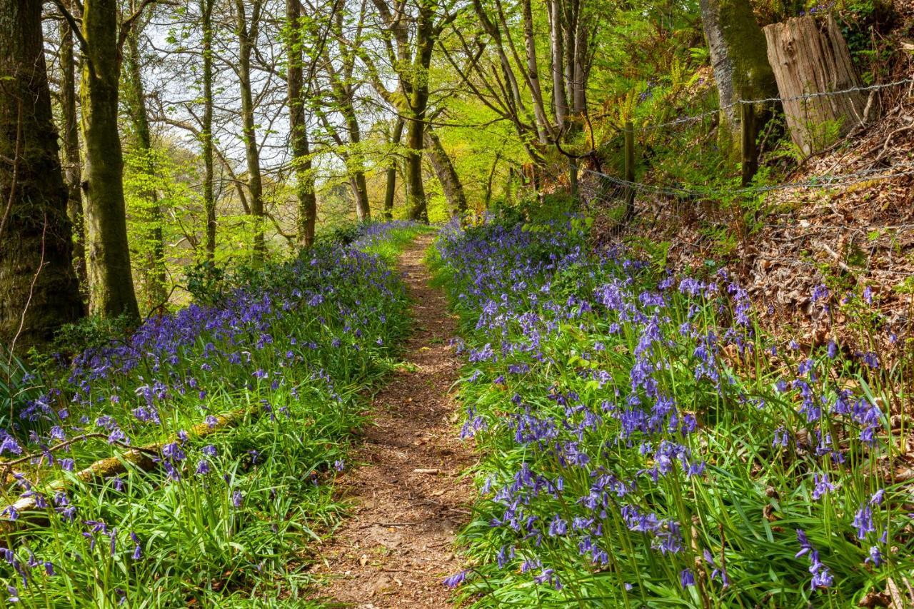 Southcott Farm Cottage ホニートン エクステリア 写真